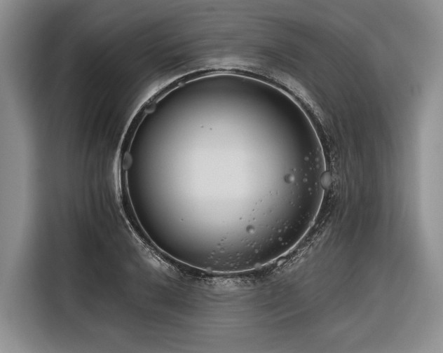 X0000116391032200912091430