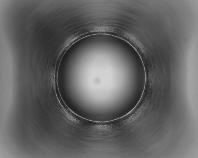 X0000116391033200912091430