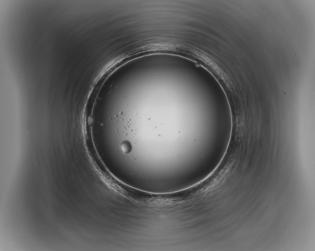 X0000116391034200912091430
