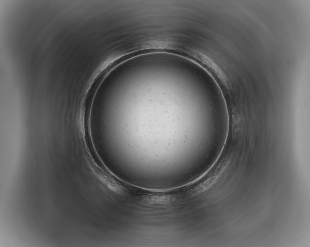 X0000116391035200912091430
