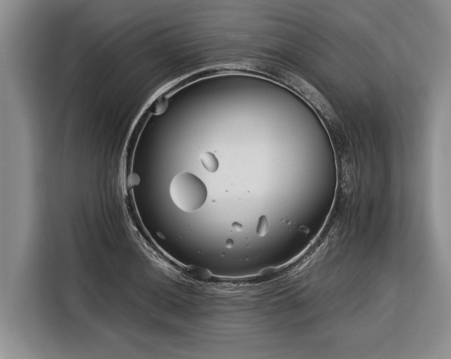 X0000116391036200912091430