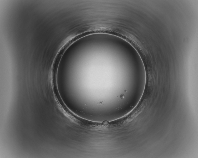 X0000116391038200912091430