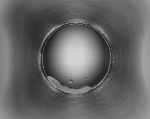 X0000116391040200912091430