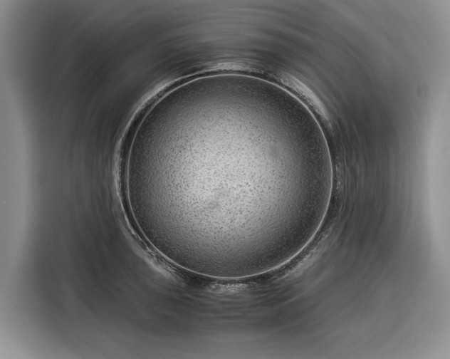 X0000116391043200912091430