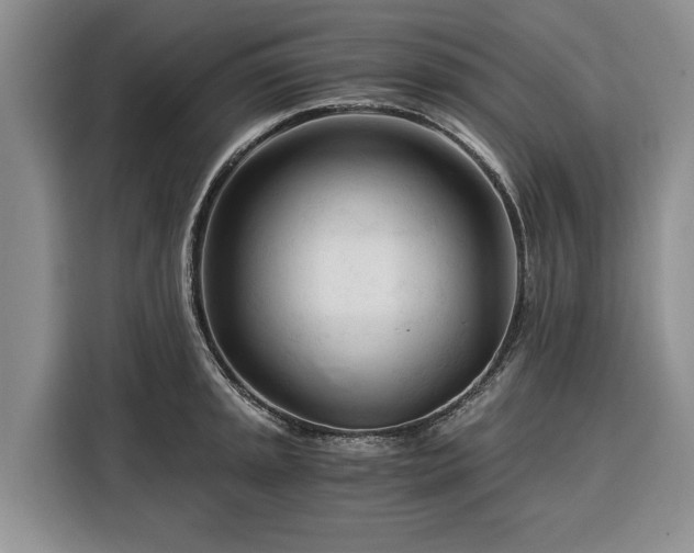 X0000116391045200912091430