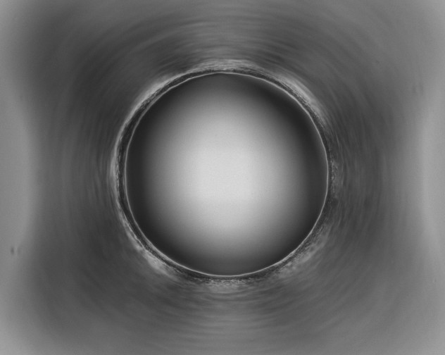 X0000116391046200912091430