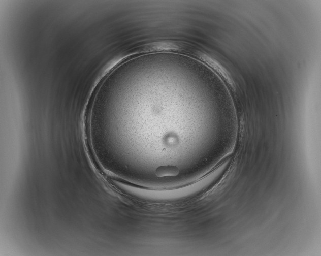 X0000116391047200912091430