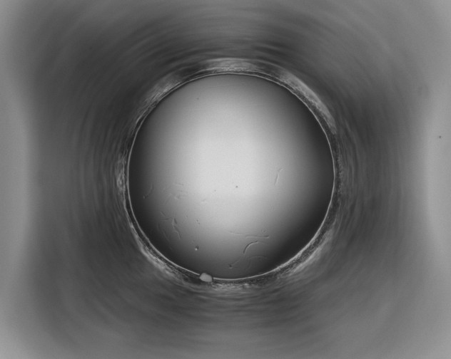 X0000116391049200912091431