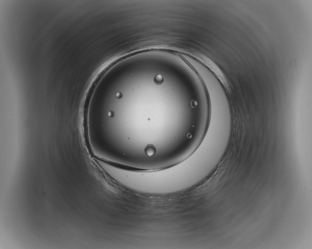 X0000116391051200912091431