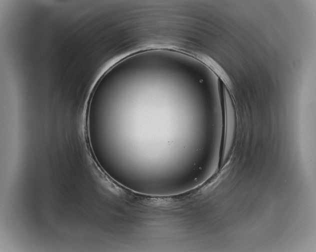 X0000116391052200912091431