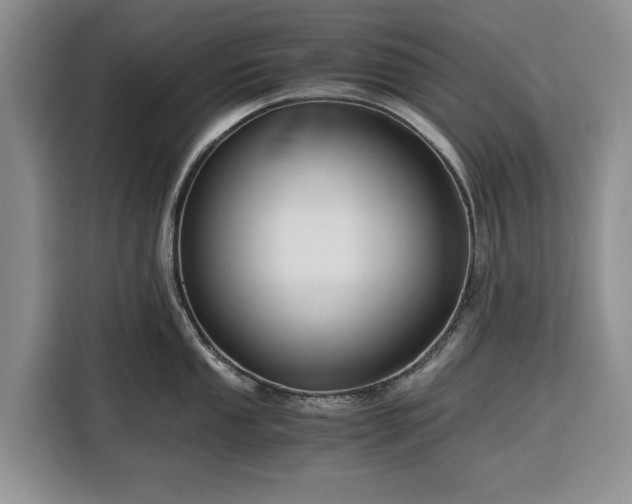 X0000116391053200912091431
