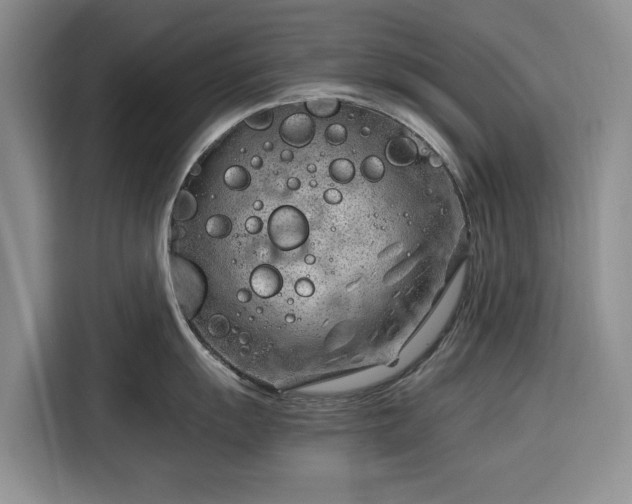 X0000116391055200912091431