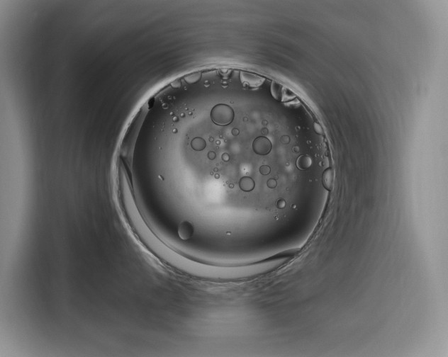 X0000116391056200912091431