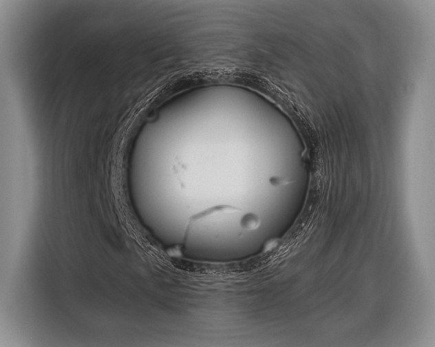 X0000116391057200912091430
