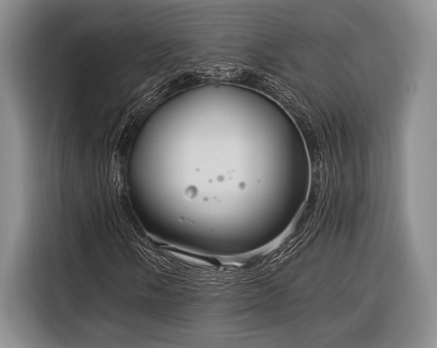 X0000116391058200912091430