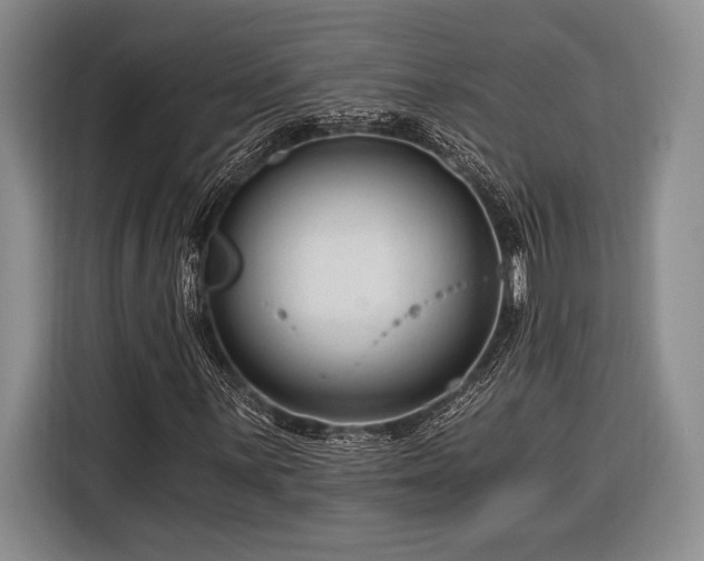 X0000116391059200912091430
