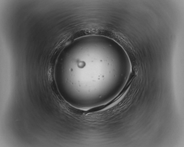 X0000116391060200912091430