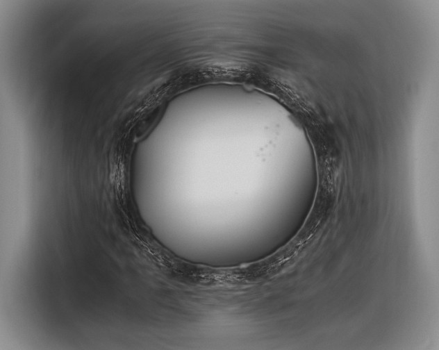 X0000116391061200912091430