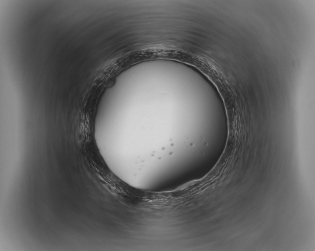 X0000116391062200912091430