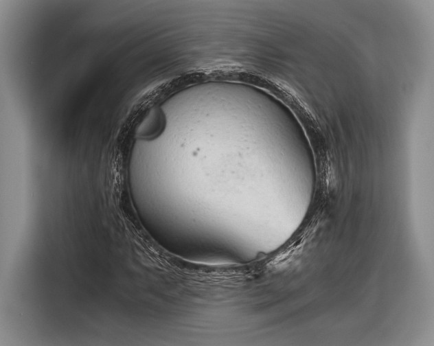 X0000116391063200912091430