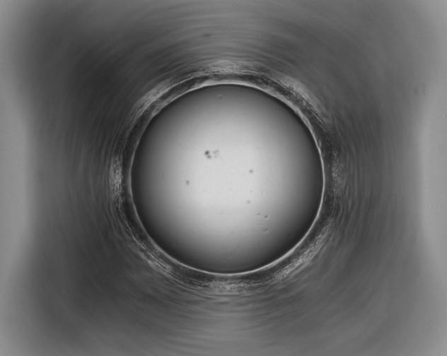 X0000116391065200912091430