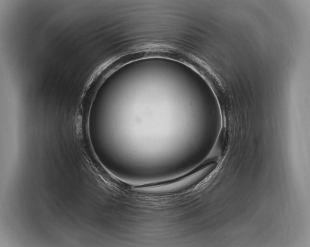 X0000116391066200912091430