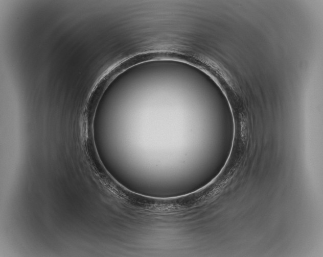 X0000116391069200912091430