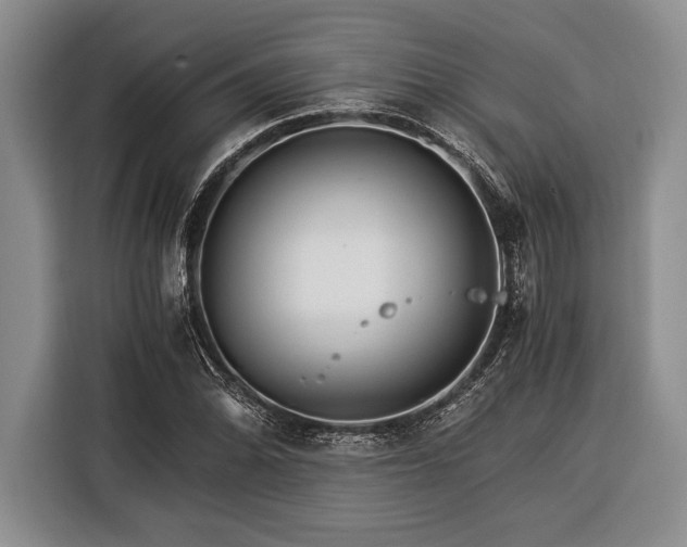X0000116391070200912091430