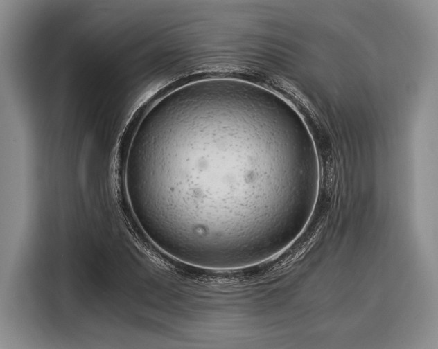 X0000116391071200912091430