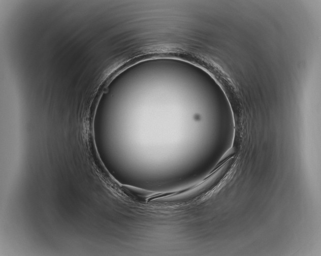 X0000116391073200912091430