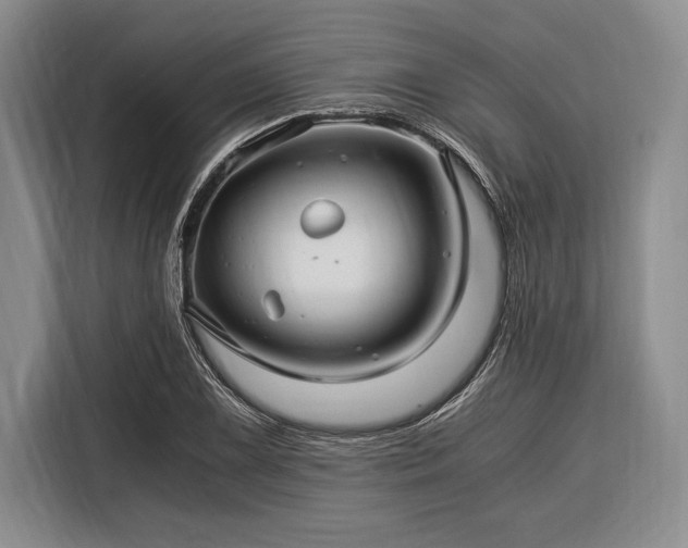 X0000116391075200912091430