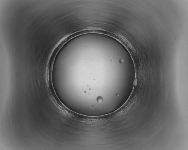 X0000116391076200912091430