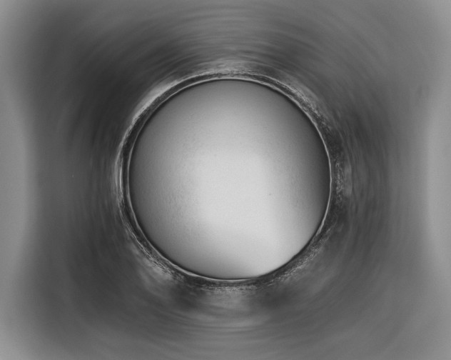 X0000116391078200912091430