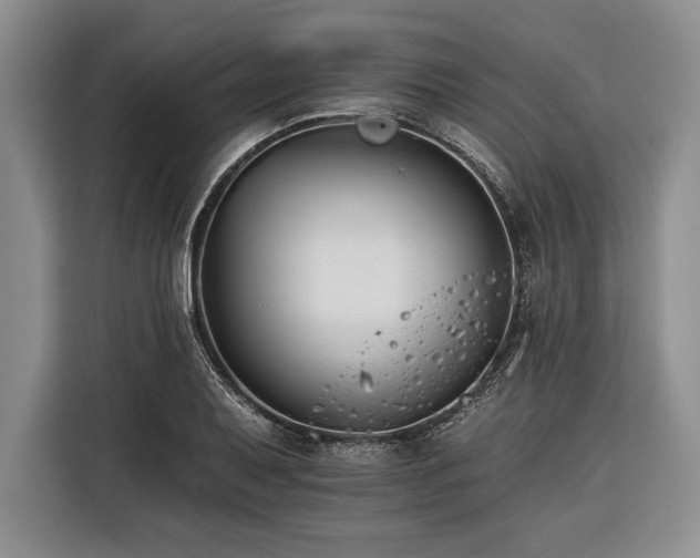 X0000116391079200912091430