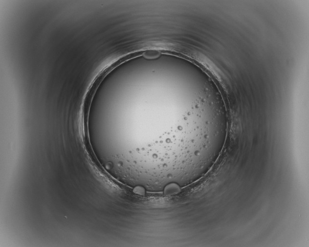 X0000116391080200912091430