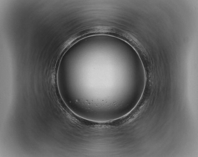 X0000116391081200912091430