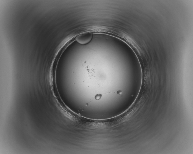 X0000116391082200912091430