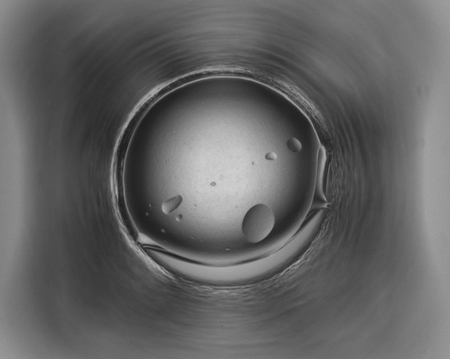 X0000116391084200912091430