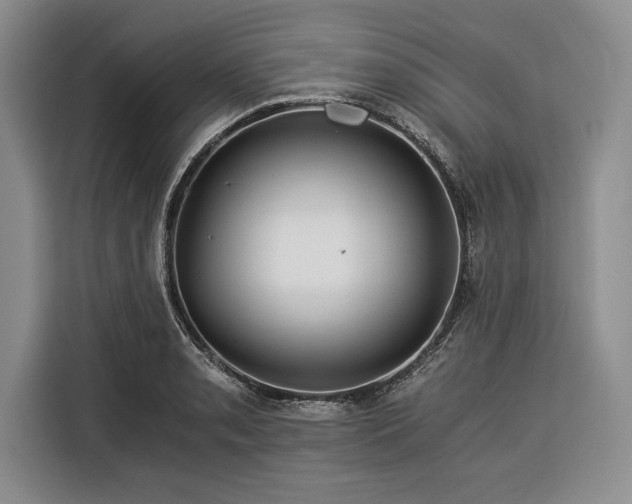 X0000116391085200912091430