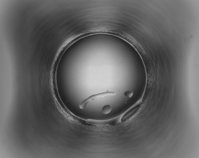 X0000116391086200912091430