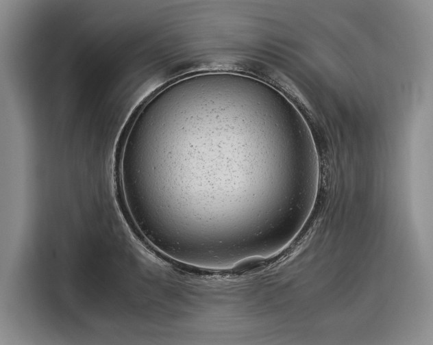 X0000116391087200912091430
