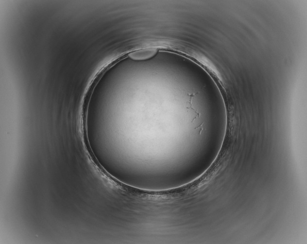 X0000116391088200912091430