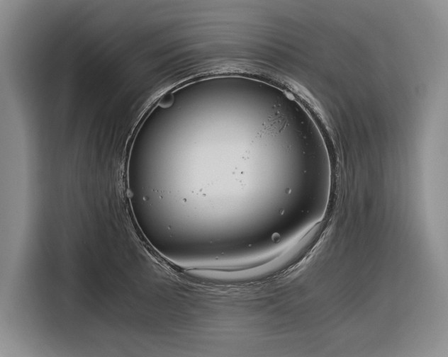 X0000116391089200912091430