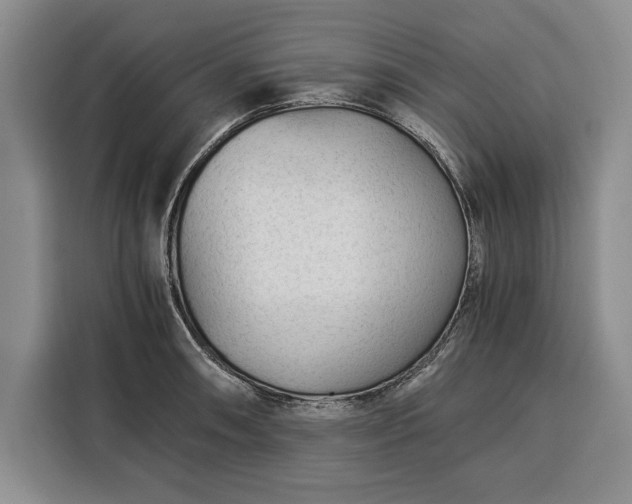X0000116391090200912091430