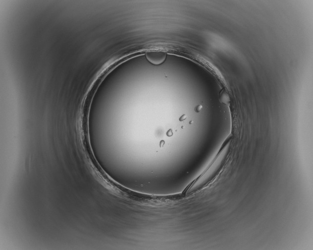X0000116391091200912091430