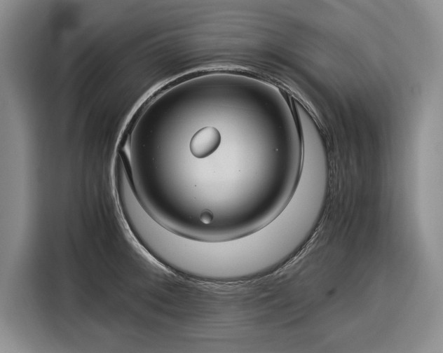 X0000116391092200912091430