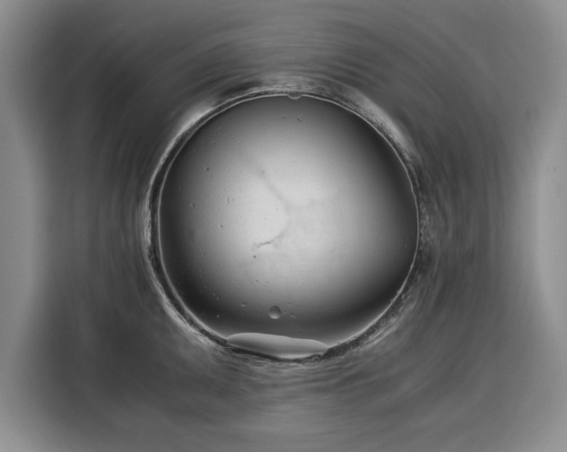 X0000116391095200912091429