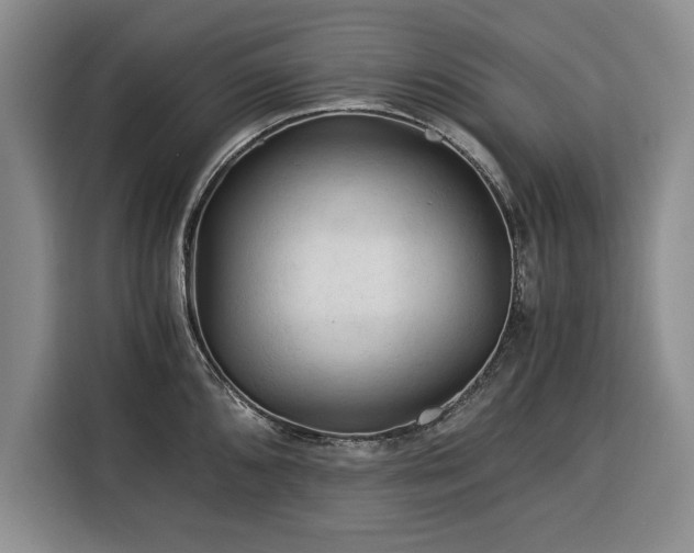 X0000116391096200912091429