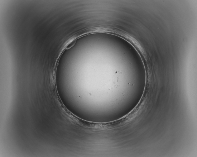 X0000116391097200912091429