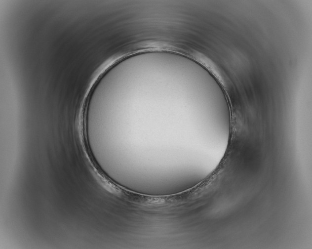 X0000116391098200912091429